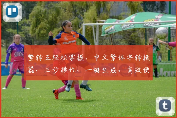 繁转正轻松掌握，中文繁体字转换器，三步操作，一键生成，高效便捷，体验无障碍沟通