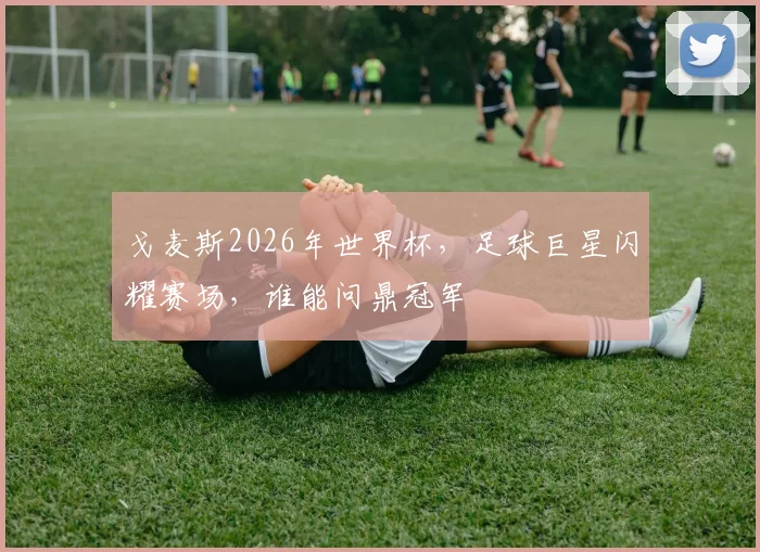 戈麦斯2026年世界杯，足球巨星闪耀赛场，谁能问鼎冠军