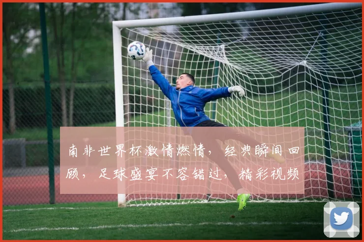 南非世界杯激情燃情，经典瞬间回顾，足球盛宴不容错过，精彩视频不容错过，一网打尽