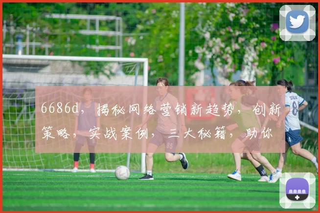 6686d，揭秘网络营销新趋势，创新策略，实战案例，三大秘籍，助你成功