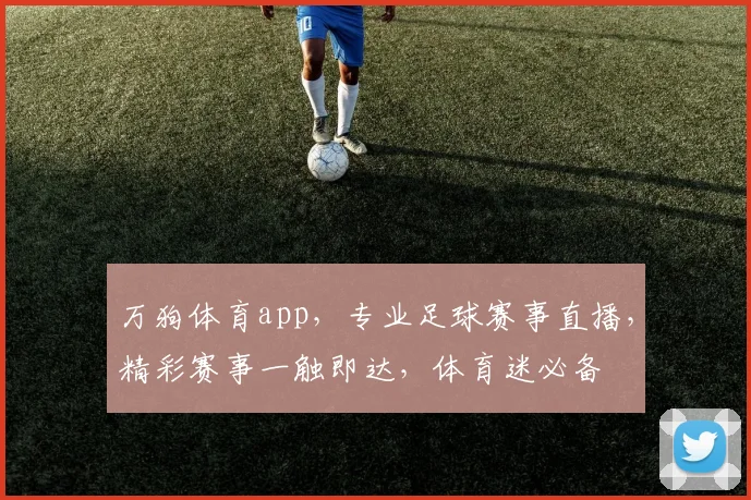 万狗体育app，专业足球赛事直播，精彩赛事一触即达，体育迷必备